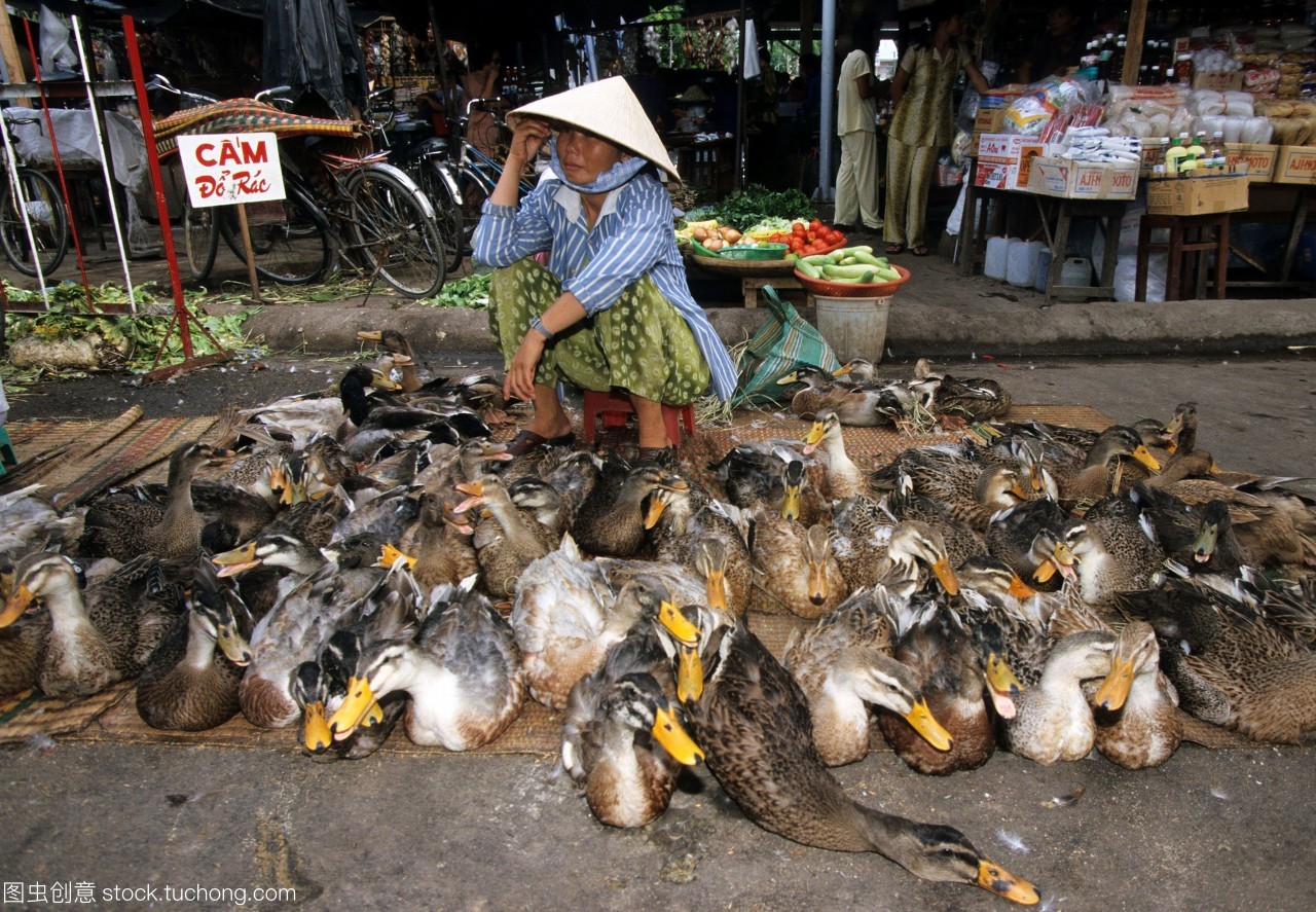 活家禽在chodamcentralmarketplaceinnhatrangkh